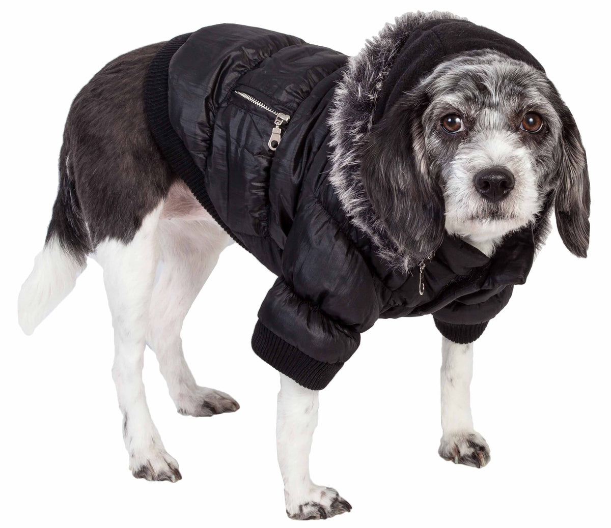 3M Insulated Dog Coat Parka with Removable Hood D8975
