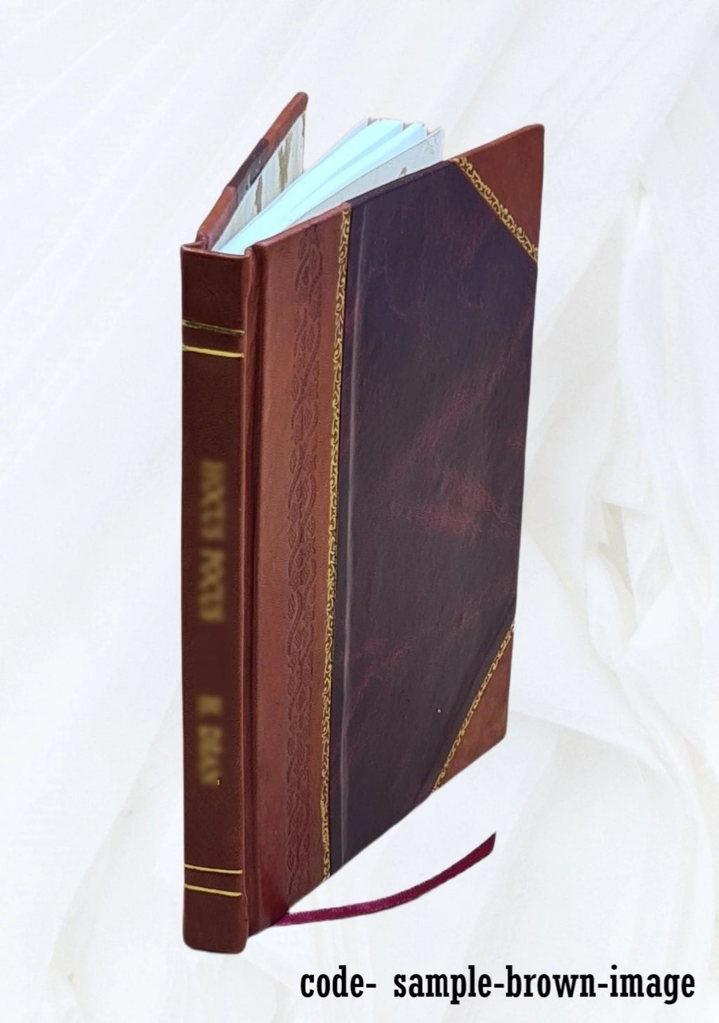 Electrical Society Cornell University 1894 1895 Leather Bound W734470