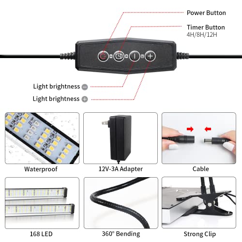 6000K Full Spectrum Clip Plant Growing Lamp with White Red LEDs, 5-Level Dimmable, Auto On Off Timing 4 8 12Hrs Q596