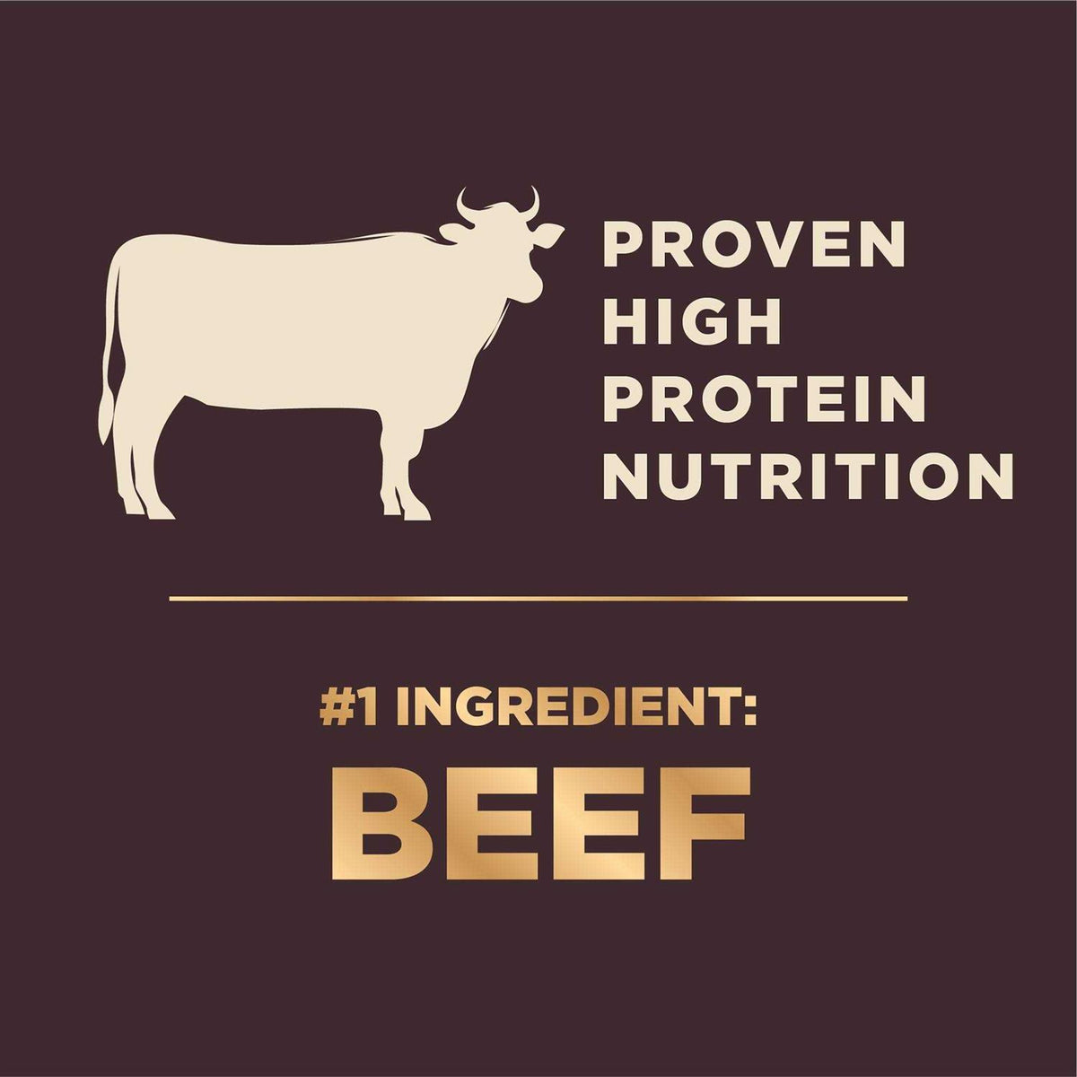 High Protein Kibble + Freeze-Dried Pieces Y175