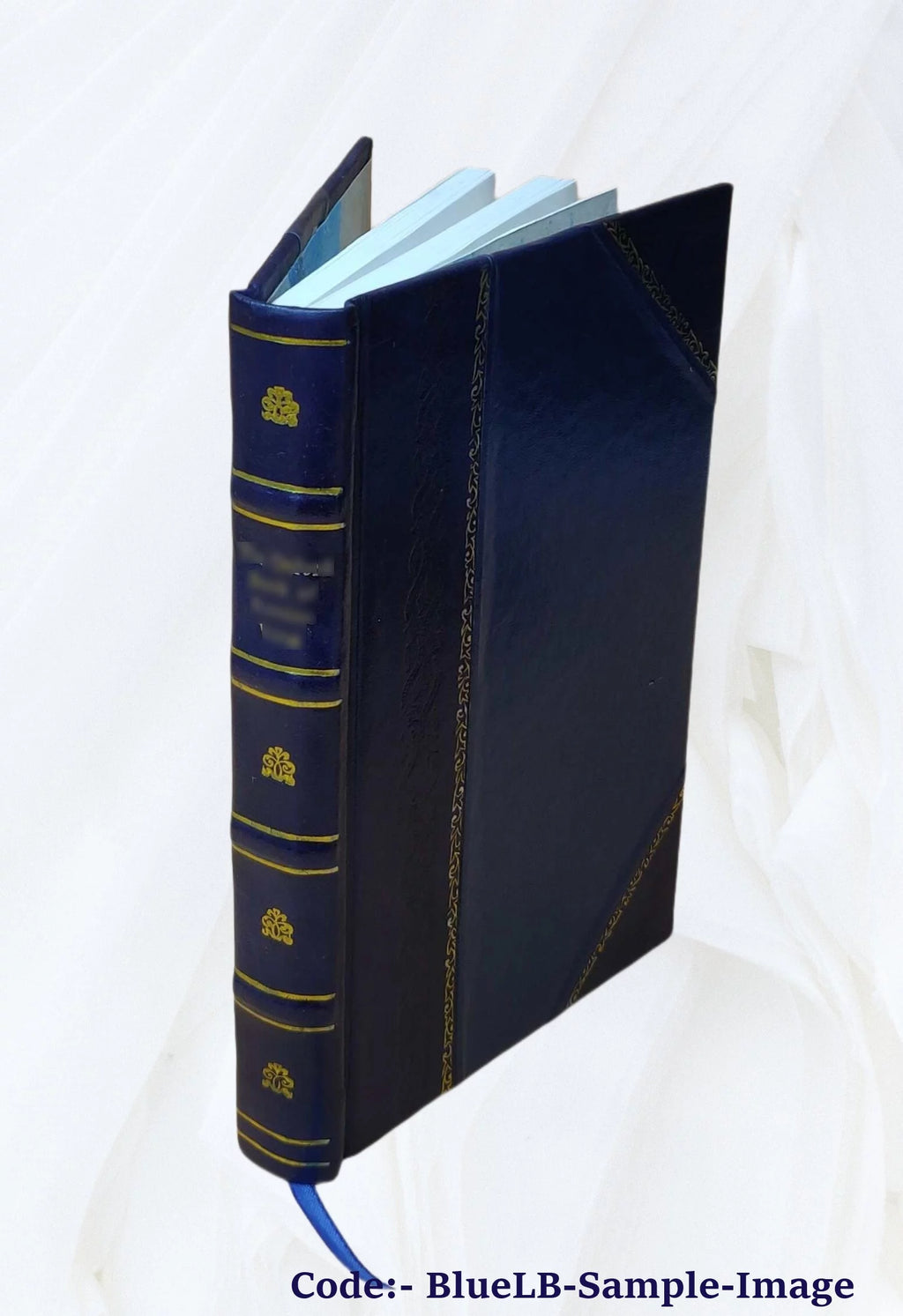 Leather Bound G923078