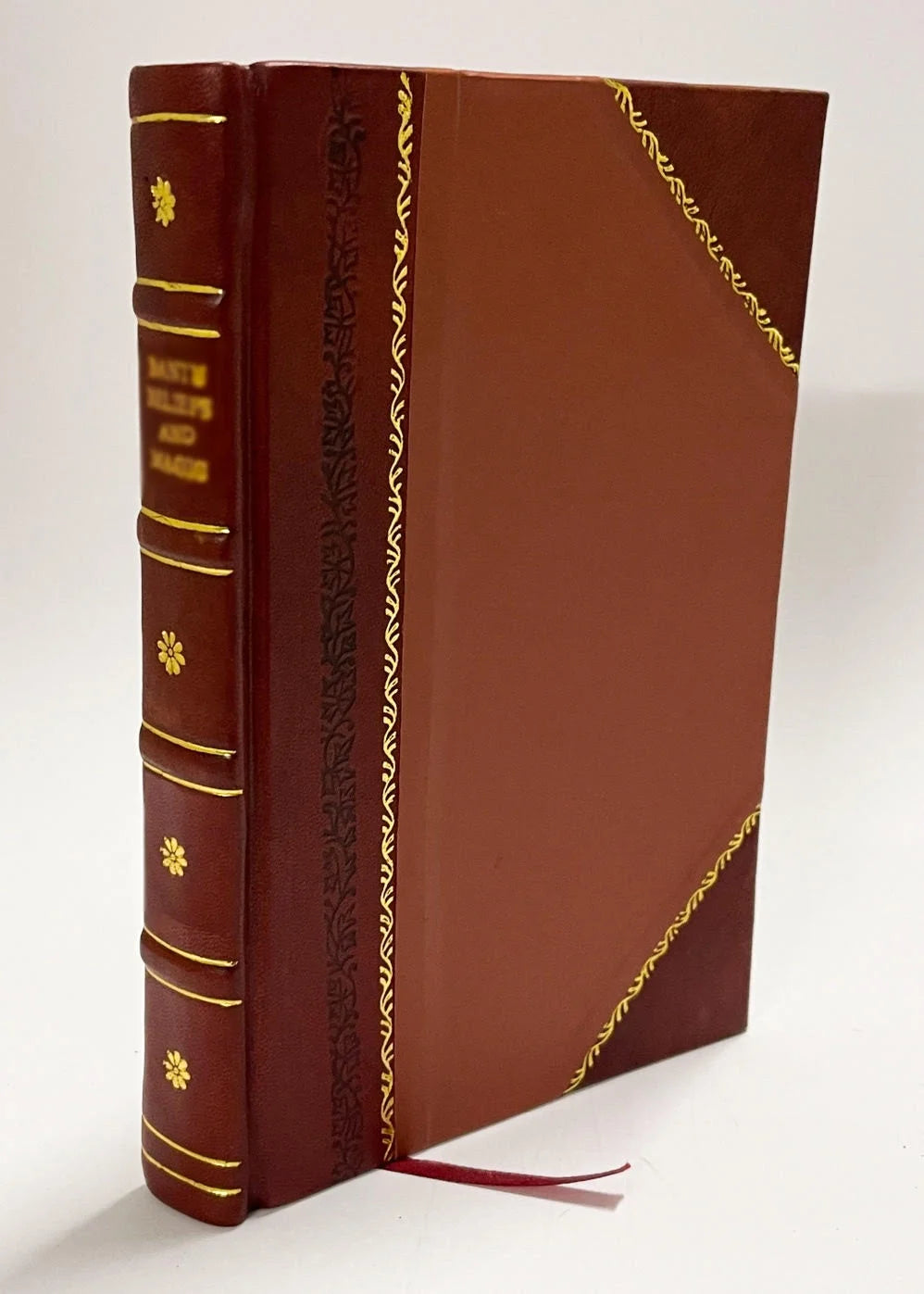 Leather Bound Book F309818
