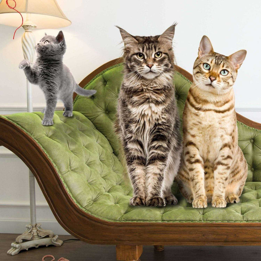 Gold Cat Food L693