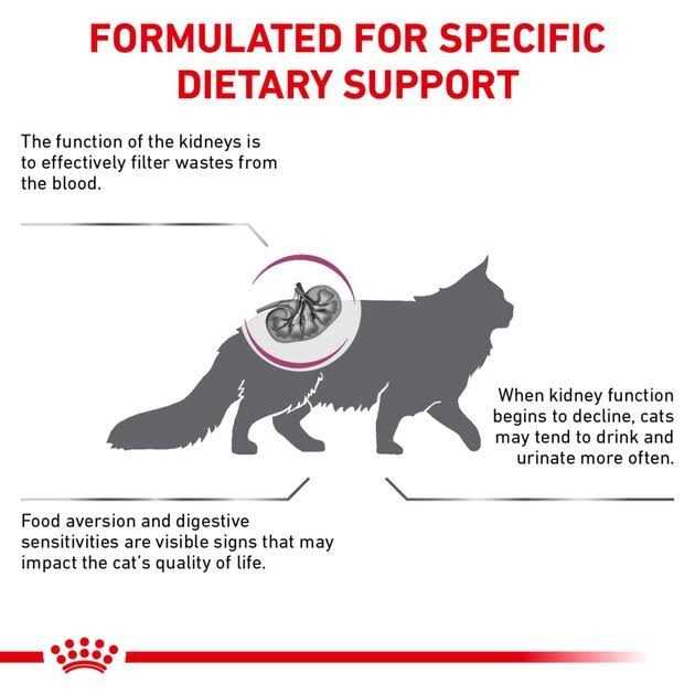 Veterinary Diet Feline Renal Support S Adult Dry Cat Food G499