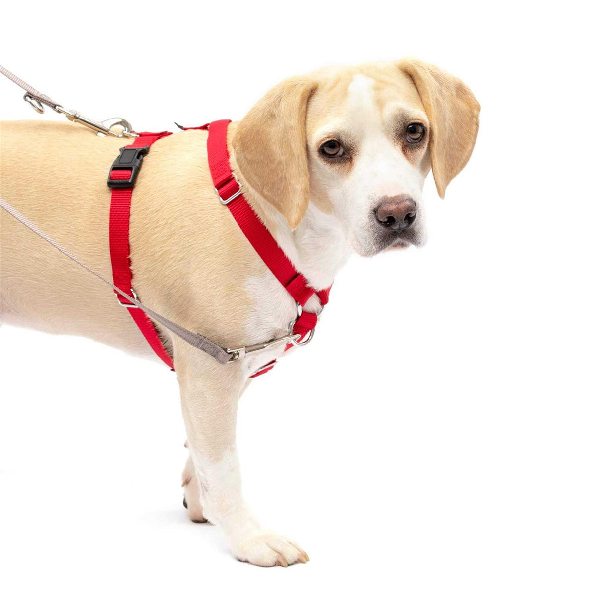 Pet Supplies X329