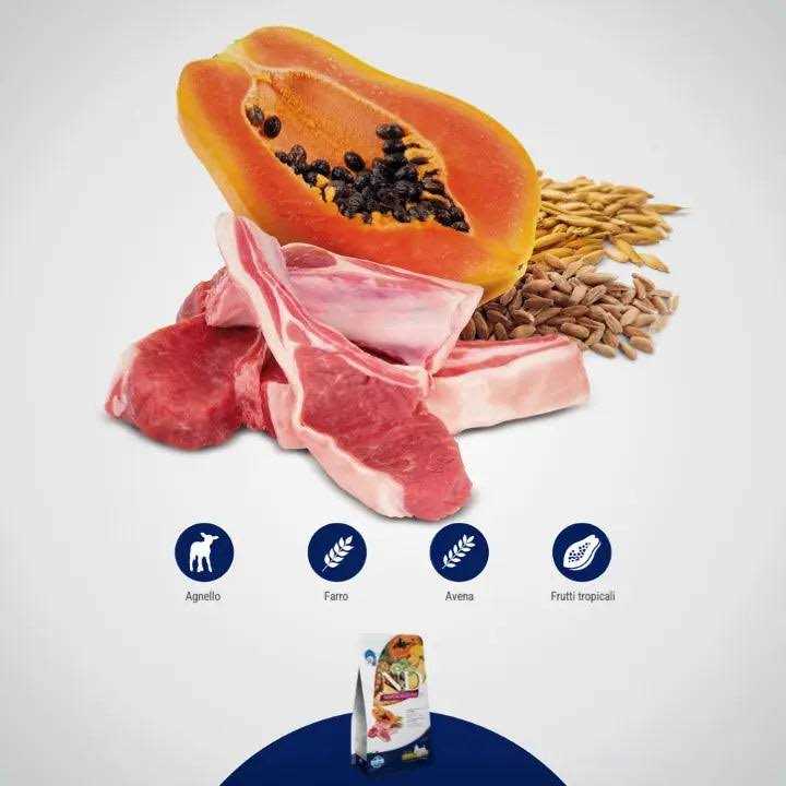 Lamb Spelt Oats Dry Dog Food S72317
