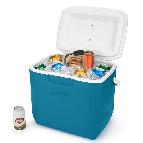 30qt Insulated Portable Cooler with Carry Handle U732325