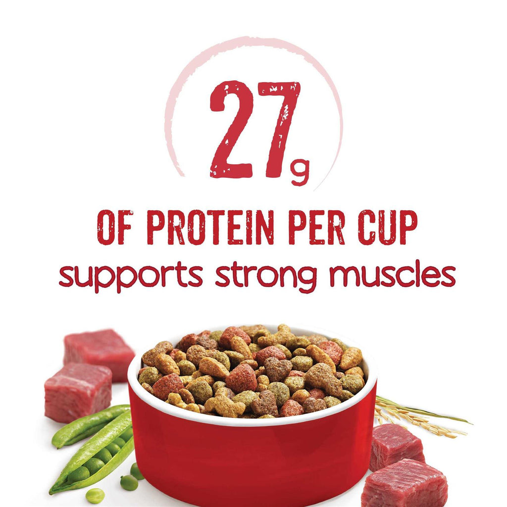 Beef Dry Dog Food R243