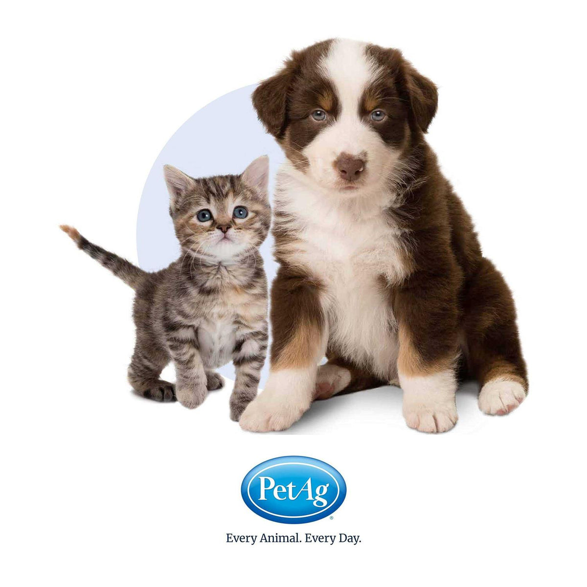 Pet Gel X48580