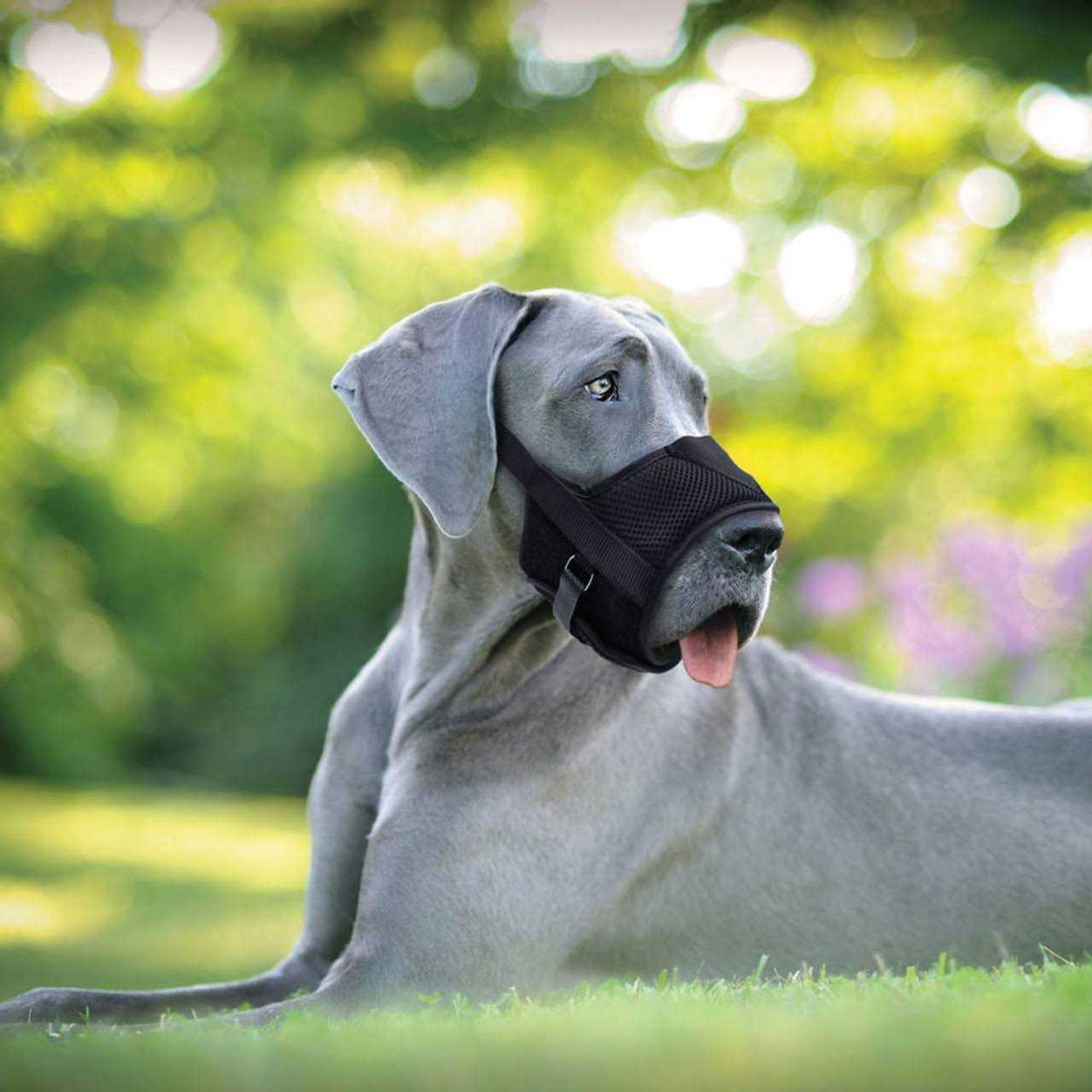 Adjustable Dog Muzzle K64222
