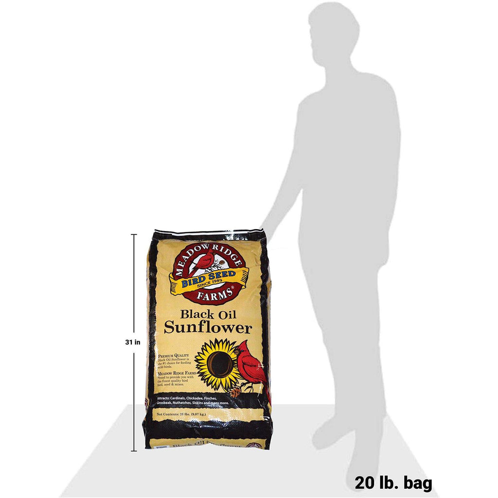 20-Lb. Black Oil Sunflower Bird Seeds X444266