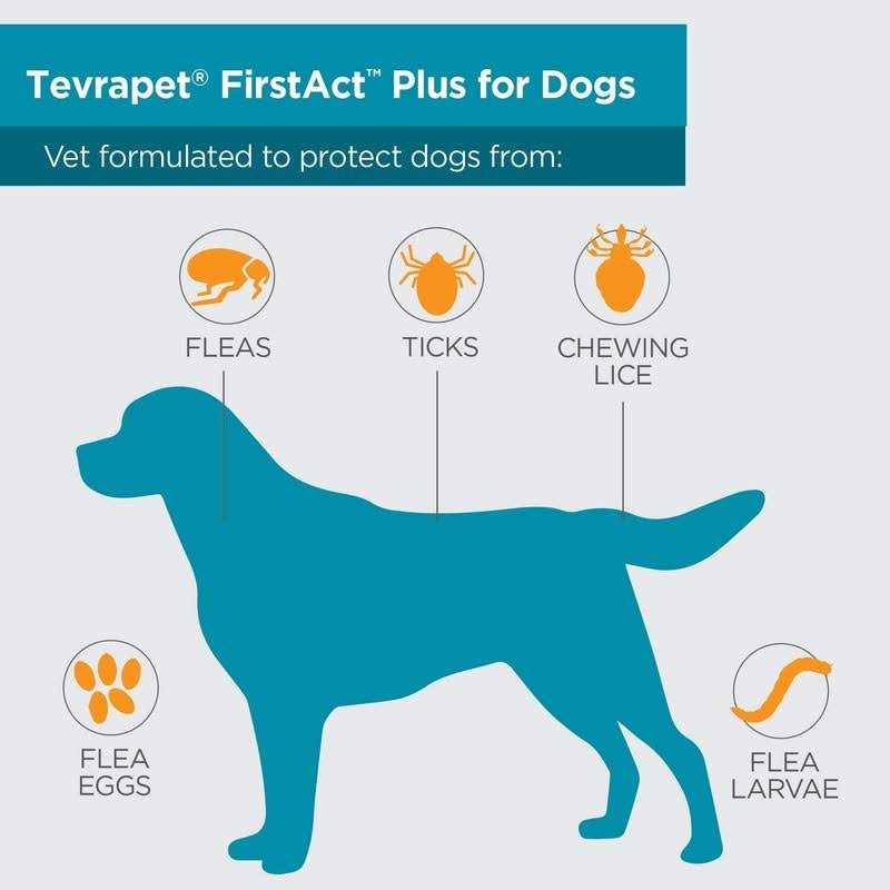 Flea and Tick Prevention Dogs K414