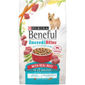 Beef Dry Dog Food R243