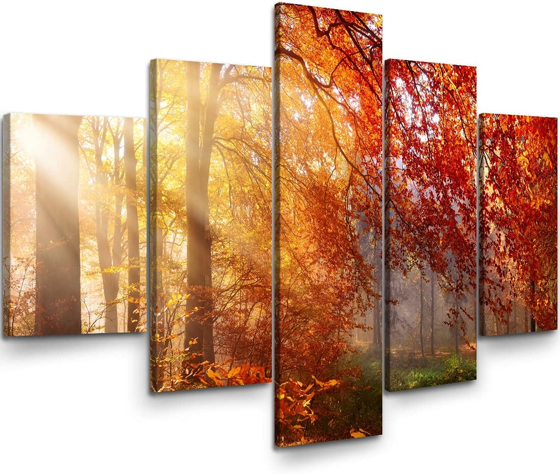 5 Piece Large Stretched Framed Canvas Wall Art H32173