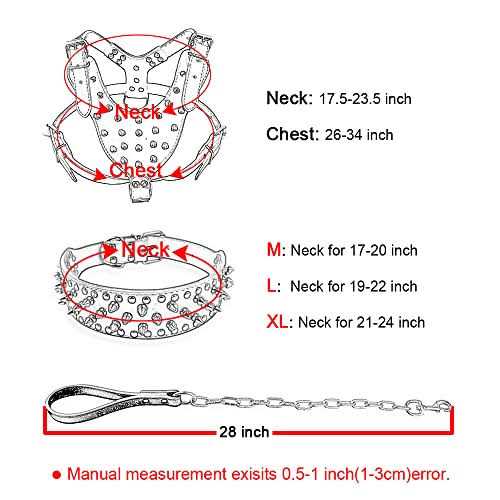 Black Leather Spiked Dog Collar & Leash & Harness 3 Pcs Set V6828