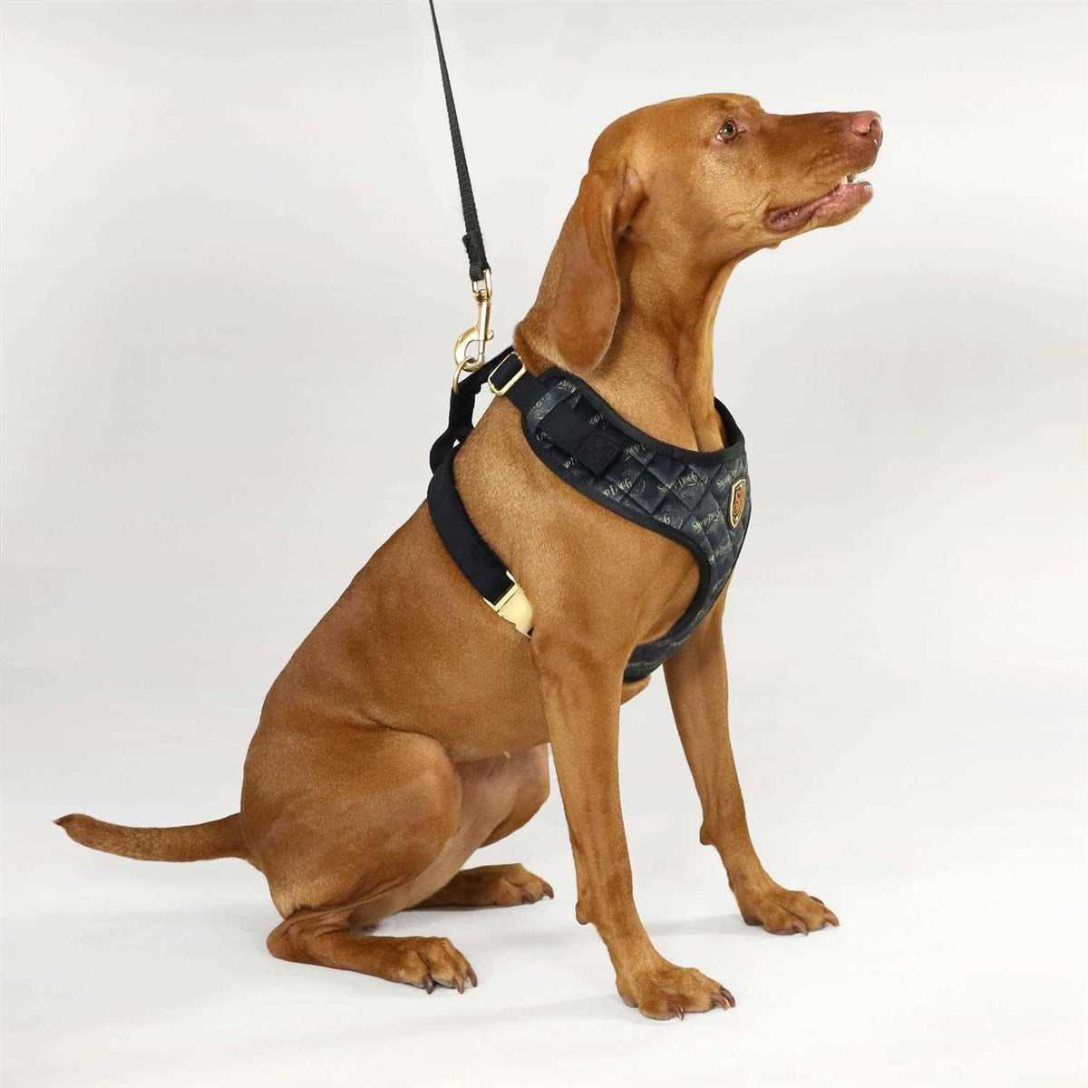 Quilted Pet Harness Y655