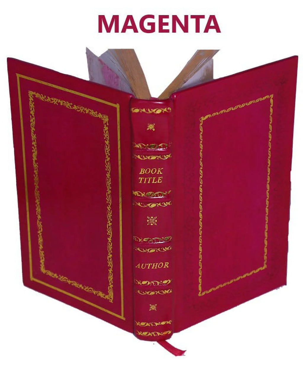 Premium Leather Bound T4394