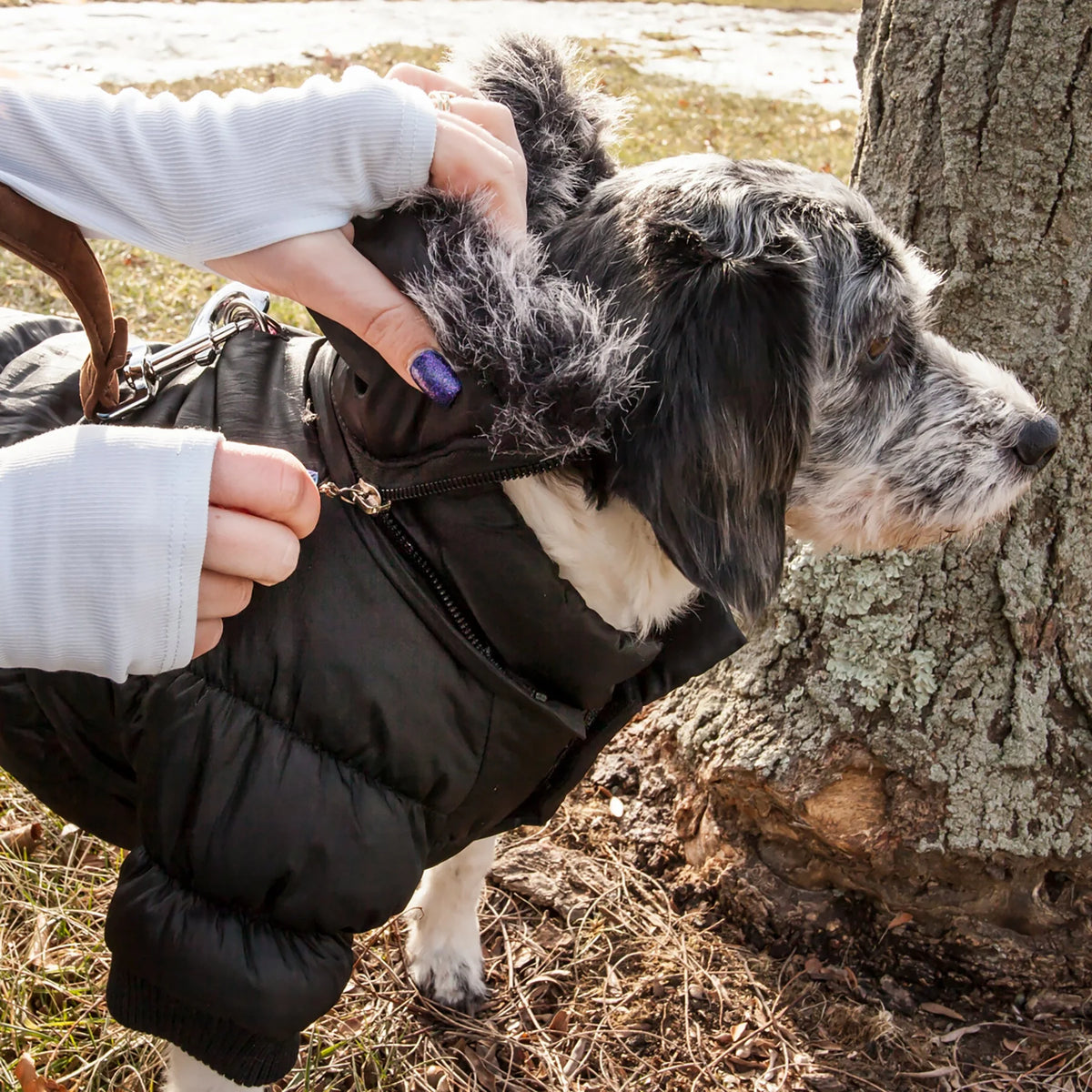 3M Insulated Dog Coat Parka with Removable Hood D8975
