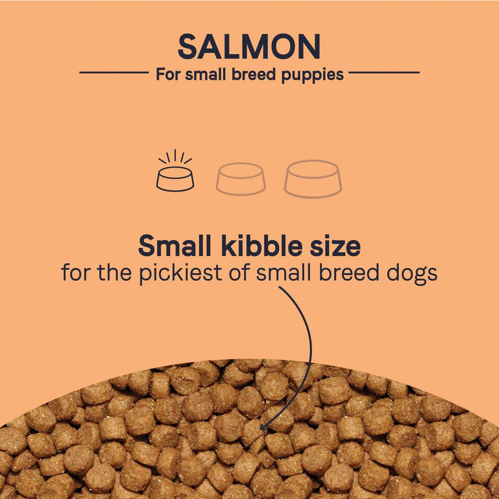 Salmon Small Breed Puppy Dry Dog Food X706510