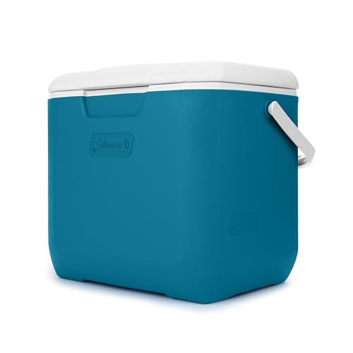 30qt Insulated Portable Cooler with Carry Handle U732325