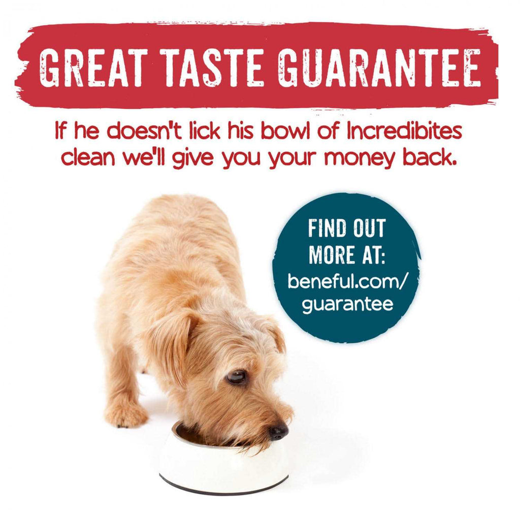 Beef Dry Dog Food R243