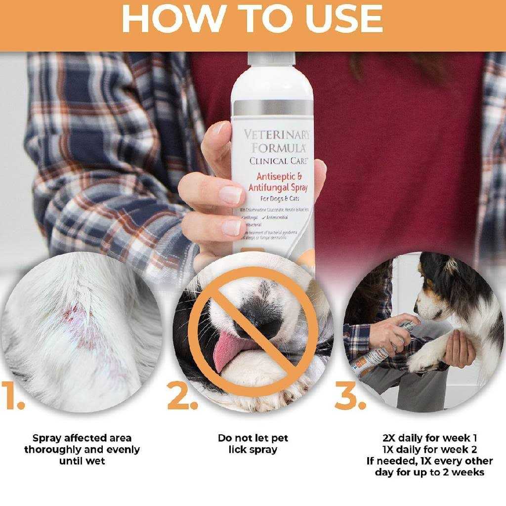 Antiseptic & Antifungal Spray E1711