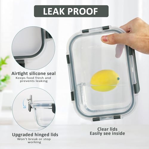 10-Pack 22 Oz Glass Meal Prep Containers with lids Y9141