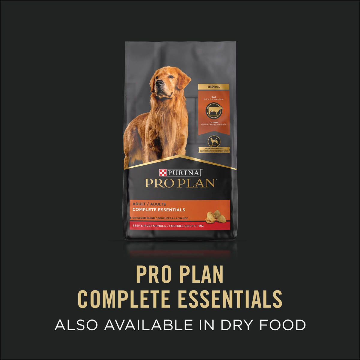 Beef Lamb Dog Food 5.5 oz Cans 24 Pack X111