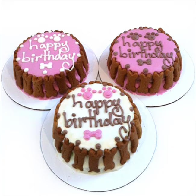 Classic Cake F19929