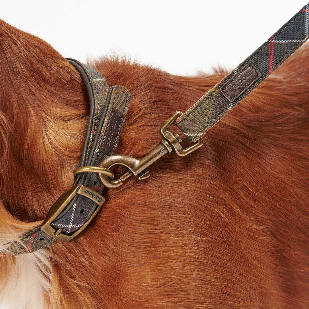 Tartan Webbing Collar I8851