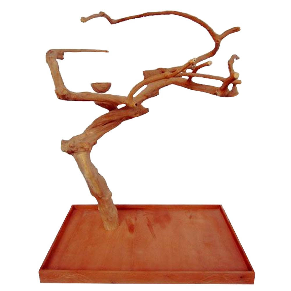 Medium Single Java Tree C15307