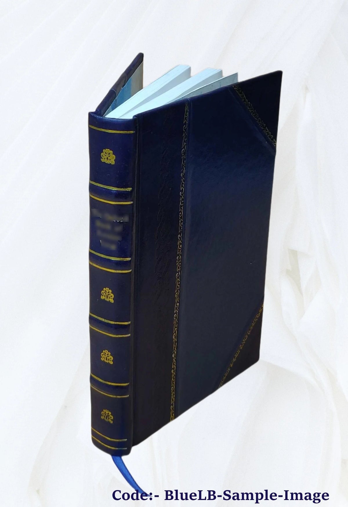 A Mission to Gelele, King of Dahome: With Notices of the So Called "Amazons," the Grand Customs ... 1864 [Leather Bound] F963