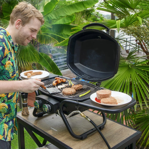 2 Burner 15,000 BTU Portable Propane Gas Grill W11753