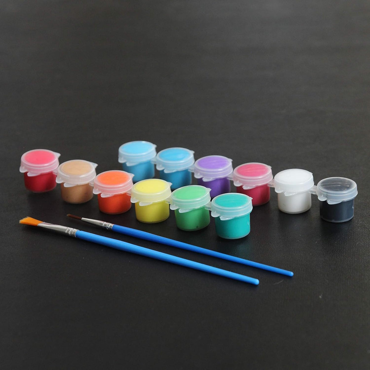 24 Pack Acrylic Paint Sets 12 Colors with 2 Brushes X3125