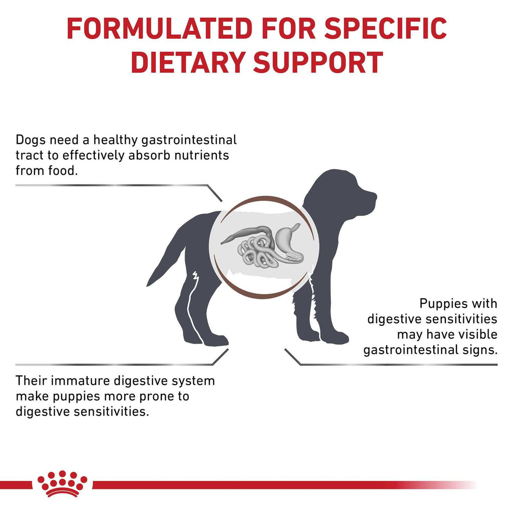 Veterinary Diet Gastrointestinal Puppy Dry Dog Food I6881
