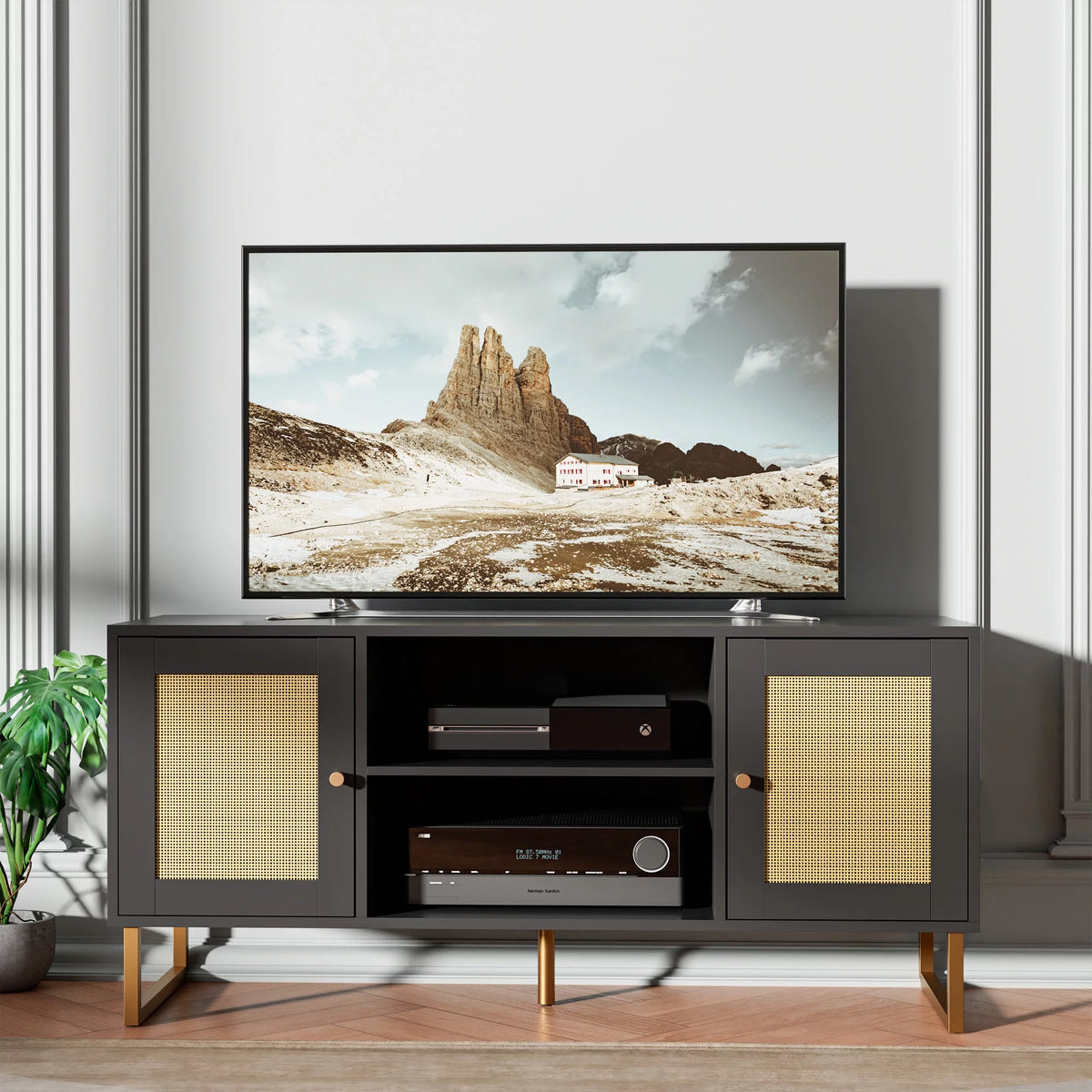 Black Rattan TV Stand with Adjustable Shelves O1879