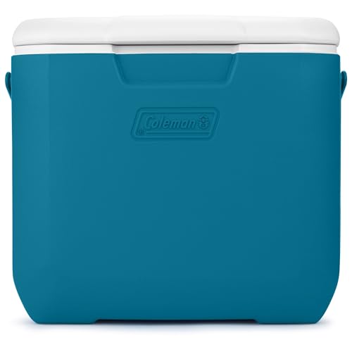 30qt Insulated Portable Cooler with Carry Handle U732325