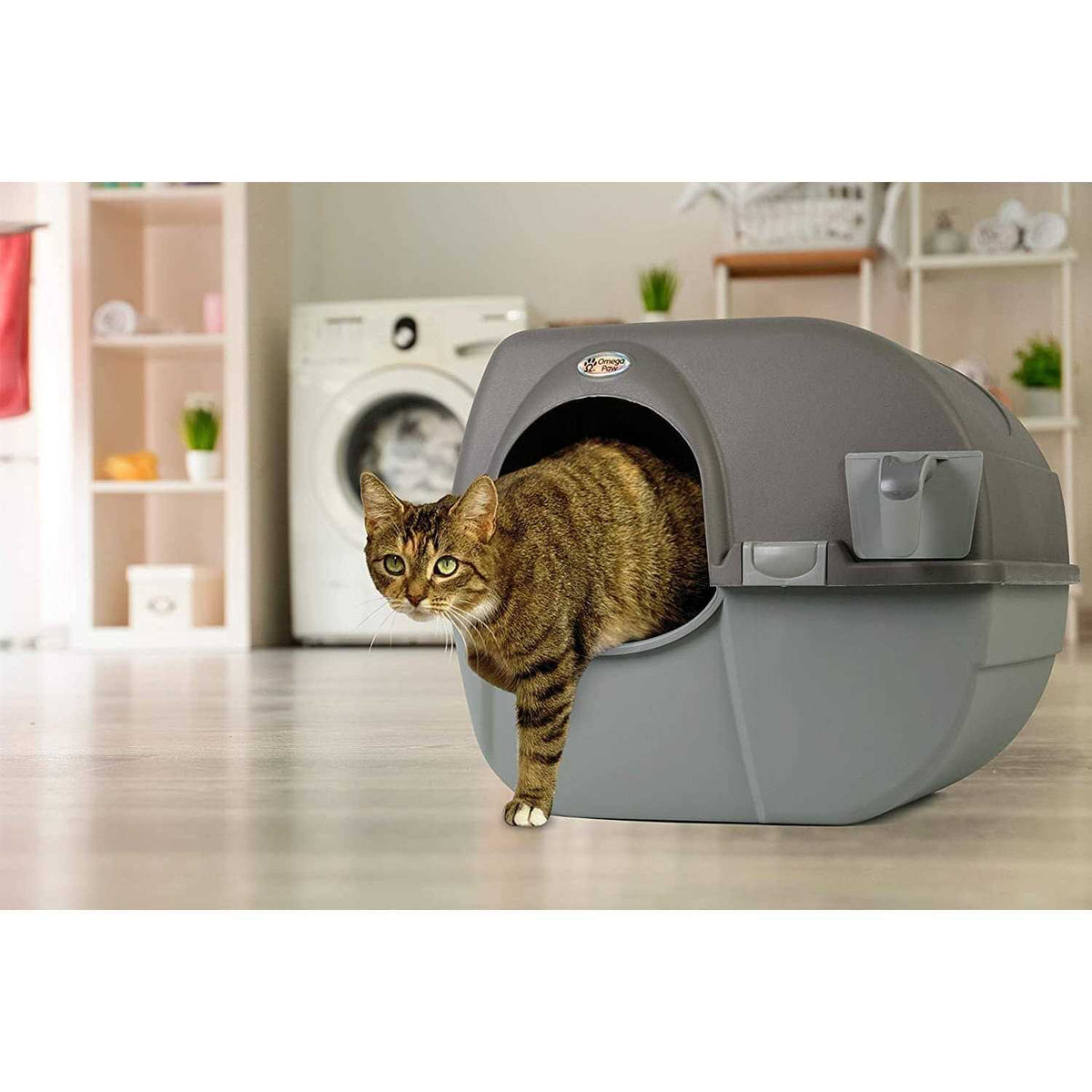 Self Cleaning Litter Box O997889