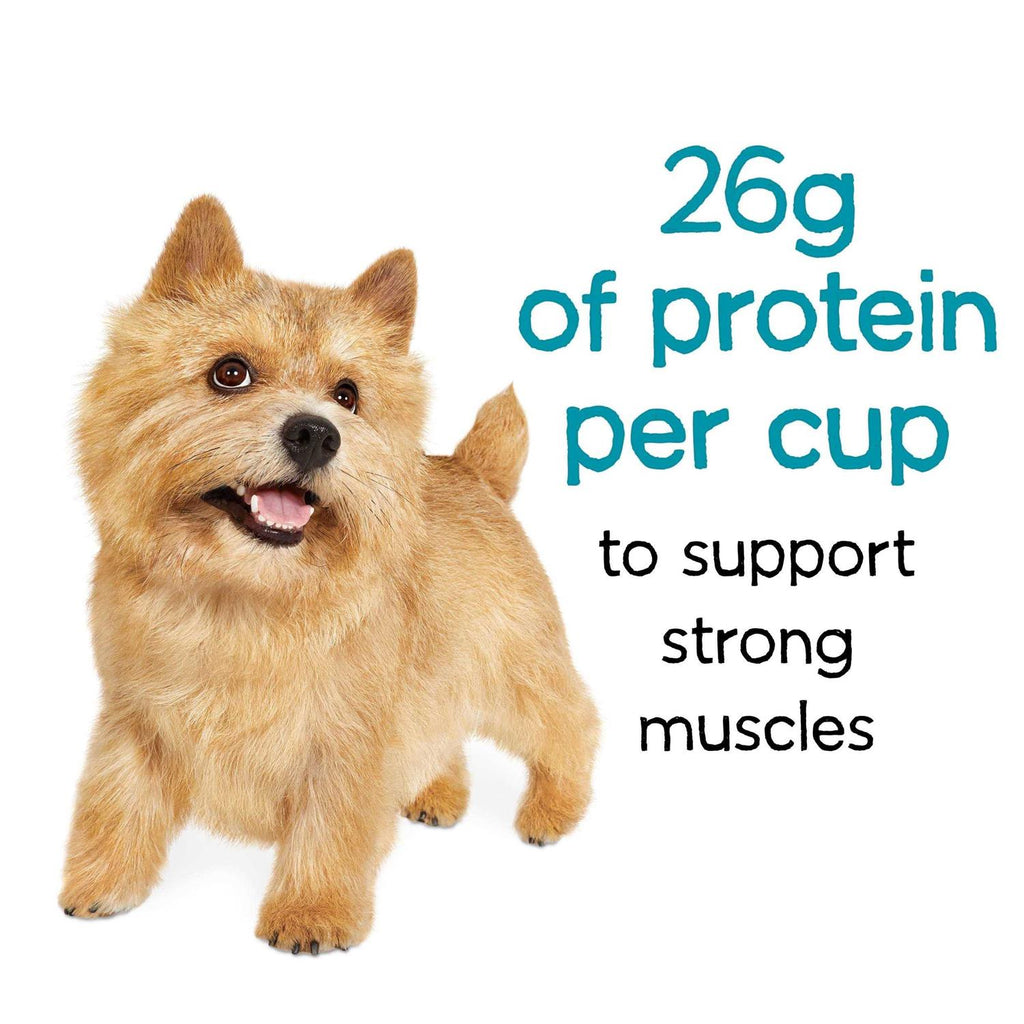 Beef Dry Dog Food R243