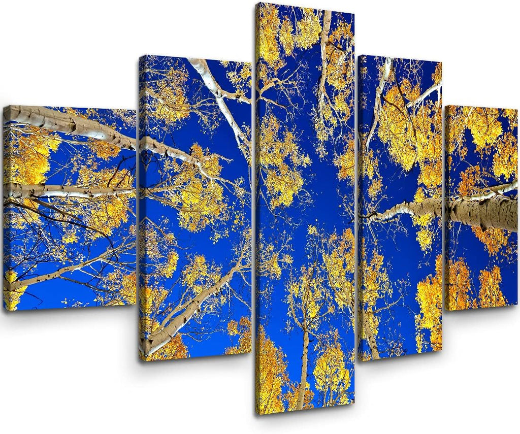 5 Piece Large Stretched Framed Canvas Wall Art H32173