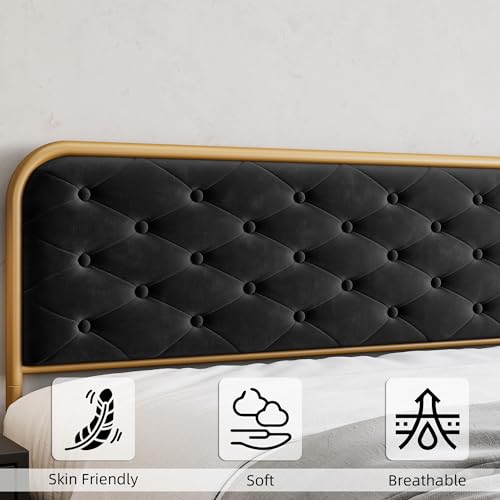 Queen Size Velvet Upholstered Bed Frame with Button Tufted Headboard, Gold-Black W3874