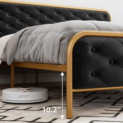 Queen Size Velvet Upholstered Bed Frame with Button Tufted Headboard, Gold-Black W3874