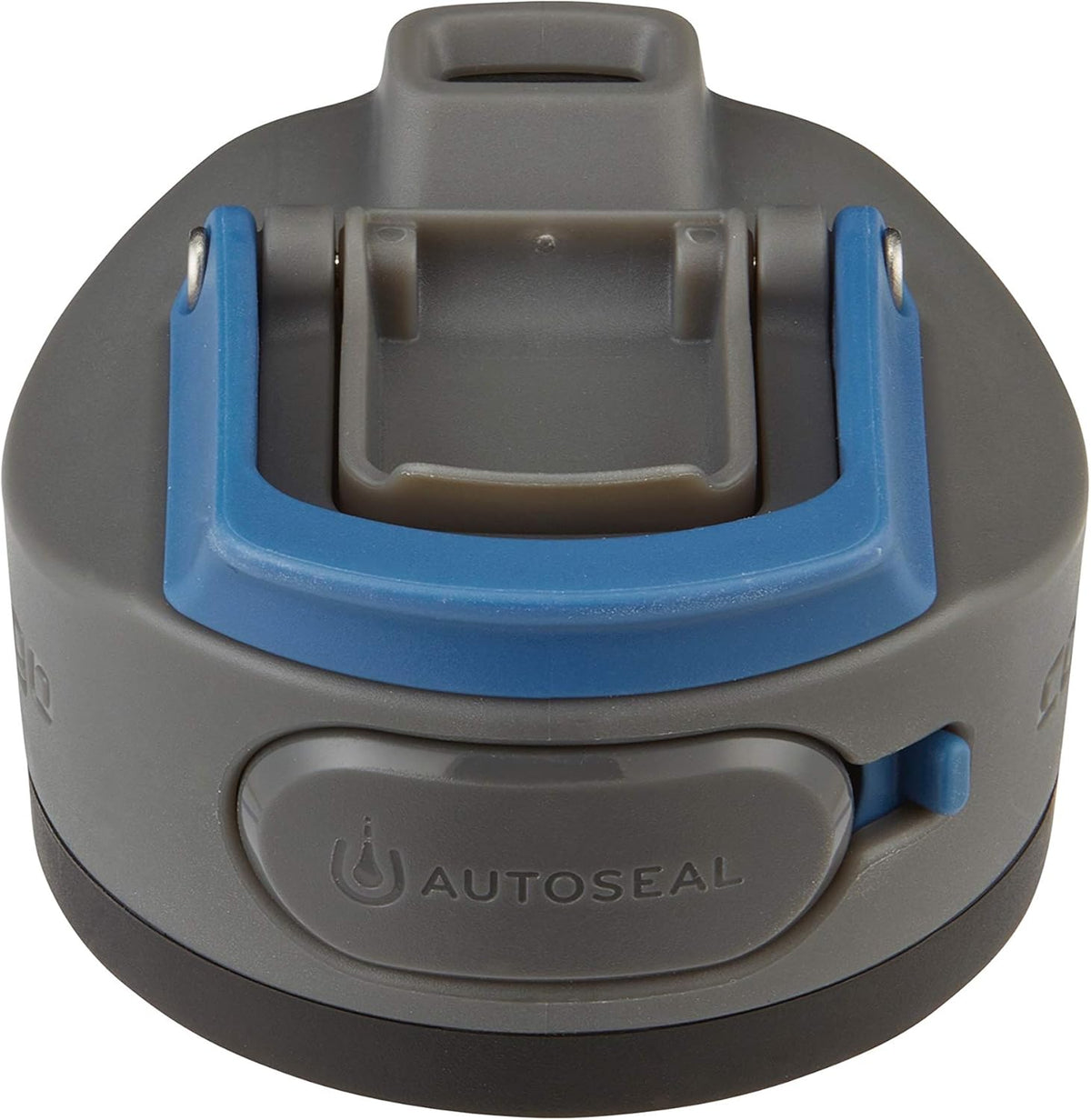 24oz Stainless Steel Water Bottle with AUTOSEAL Lid D9203