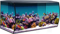 32.5 Gal Marine Salt Water Aquarium Kit with LED Lights and Filtration System E663