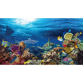 Reversible Aquarium Tank Background H55085