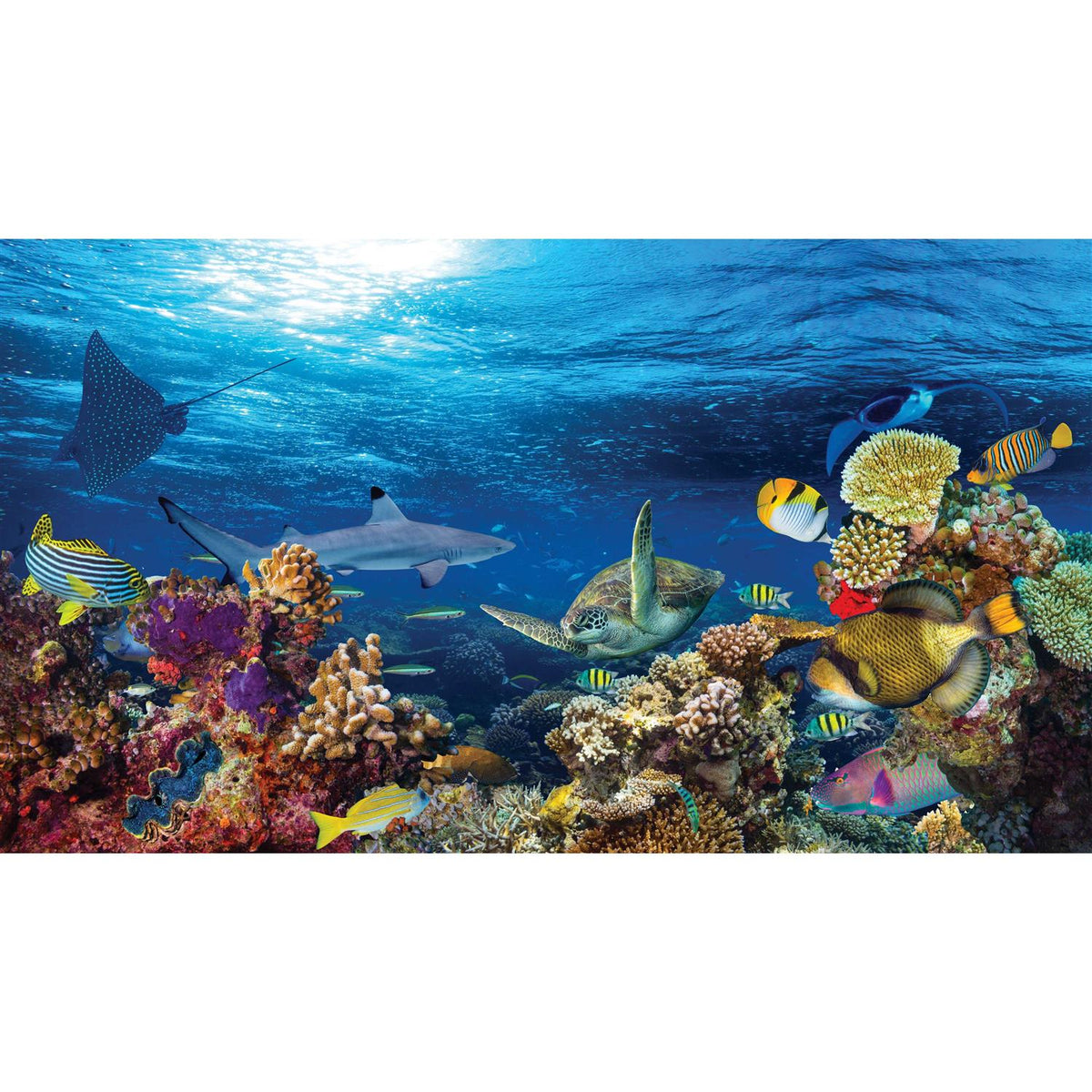 Reversible Aquarium Tank Background H55085