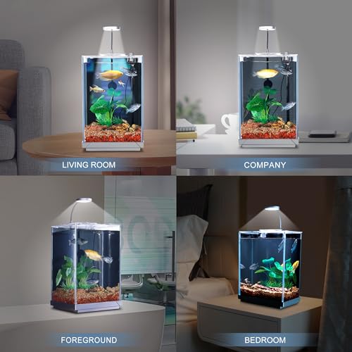 1.5 Gallon Float Glass Fish Tank Starter Kit R4793