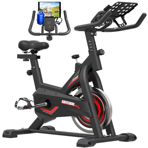 Silent Belt Drive Exercise Bike with LCD Monitor N921