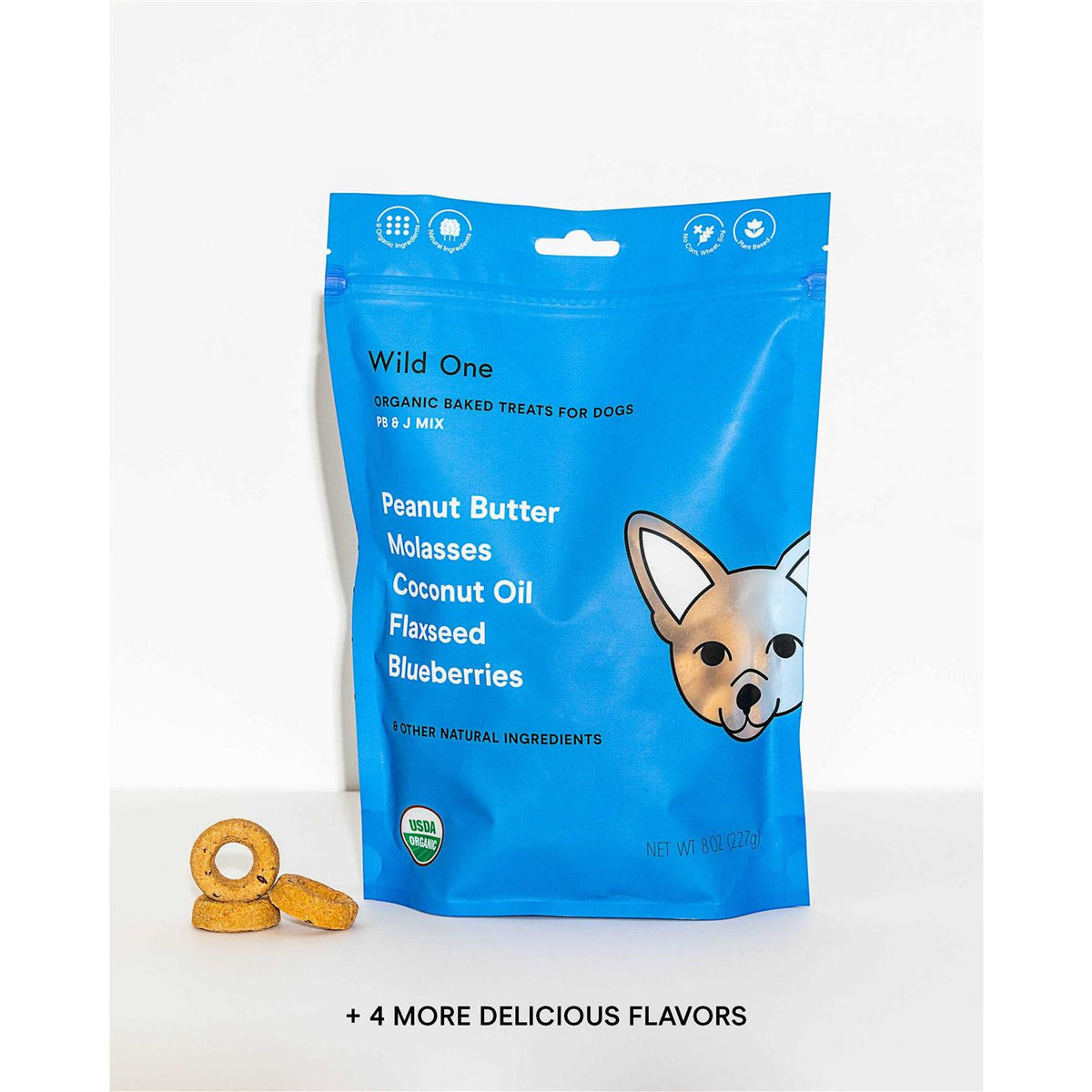 Organic Baked Fruit Salad Dog Treats V743007