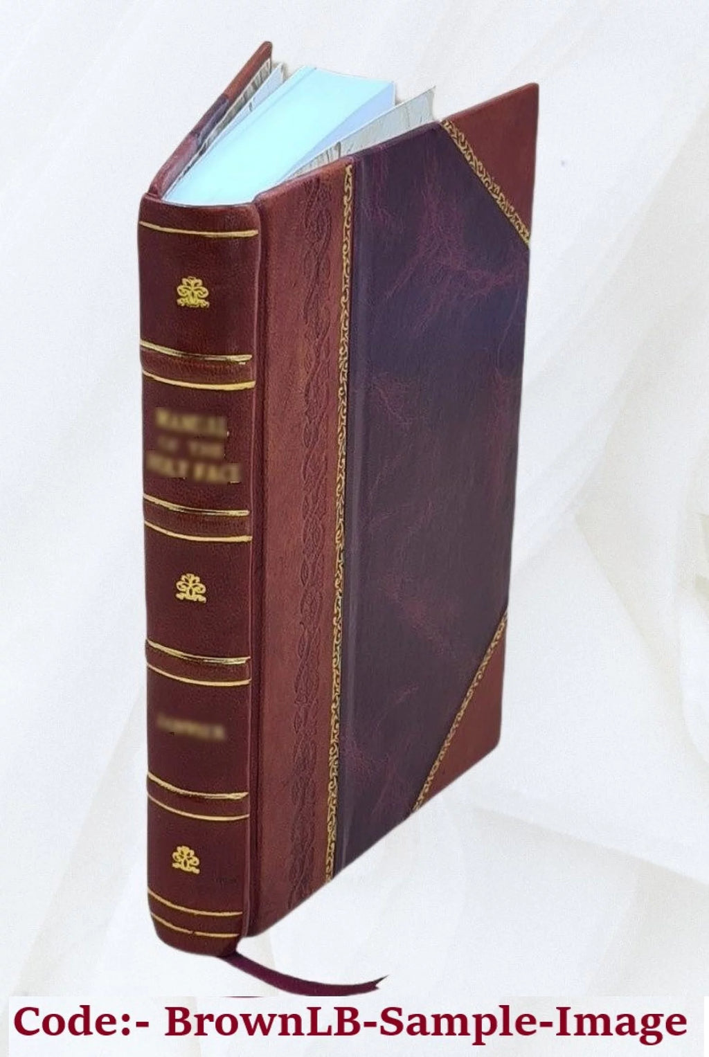 Leather Bound Book K699